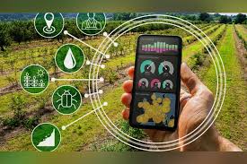 Plant Disease Detection